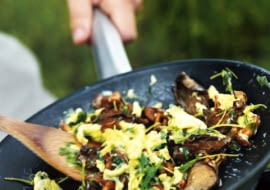 07.07.2009 KUCHNIA GRZYBY JAJECZNICA Z GRZYBAMI I MAJERANKIEM , AKSAMITNA LESNA JAJECZNICA STYLIACJA TOMASZ WOZNIAK FOT. MARCIN KLABAN / AGENCJA GAZETA PUBLIKACJA KUCHNIA NR 9 (175) - 9 2009