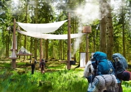 Human Forest