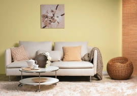 24.01.2013 , WNETRZA , DEKORAL , SESJA DLA : CZTERY KATY , STYLIZACJA JOANNA PLACHECKA . FOT. MICHAL MUTOR SLOWA KLUCZOWE: WNETRZA DEKORACJE