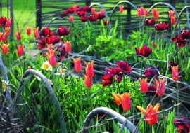 Fot.: Katarzyna Bellingham