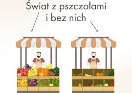 Świat z pszczołami i bez