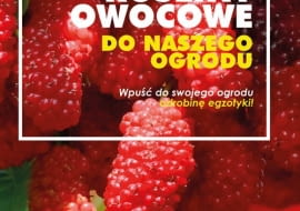 Egzotyczne rośliny owocowe do naszego ogrodu