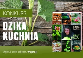 Konkurs "Dzika kuchnia"