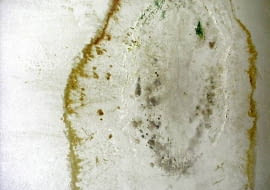 Aby skutecznie uporać się z grzybem, należy zlikwidować praprzyczynę jego występowania.