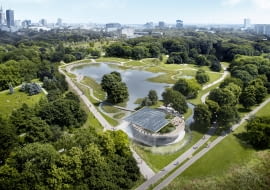 Pola Mokotowskie: stołeczny park zyskuje bardziej naturalne oblicze