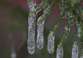 26.03.2009 LUBLIN , LOD NA CYPRYSIKU . FOT. IWONA BURDZANOWSKA / AGENCJA GAZETA