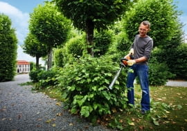 Dzięki poręcznym nożycom do żywopłotu Stihl HSA 66 bez większego trudu utrzymamy w ryzach nasze krzewy ok. 1000 zł