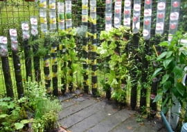 Nic nie stoi na przeszkodzie, aby altanę lub taras otoczyć parawanem z wertykalnym ogrodem z butelek PET. Trzeba tylko przez jakiś czas nie wyrzucać plastikowych butelek bo do tej budowli będą nam potrzebne w większej ilości. Więcej na: www.thegardenglove.com