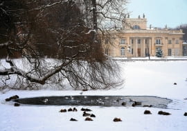 Pałac na Wyspie to rezydencja króla Stanisława Augusta, powstała na przełomie XVII i XVIII wieku. Początkowo była pawilonem - Łaźnią, później przekształcono ją w pałac.