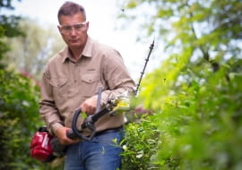 Przycinanie żywopłotu