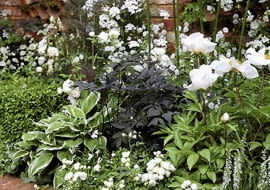 Rabaty z białymi kwiatami są bardzo eleganckie