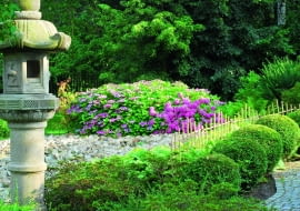 Dekoracje kamienne pochodzą ze starych, zlikwidowanych ogrodów japońskich.