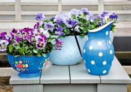 Wzbudzają wyłącznie pozytywne emocje - widok tych uśmiechniętych kwiatków każdemu z nas poprawia humor. A na dodatek kwitną od maja aż do października. Kochajmy więc i sadźmy bratki. <BR />Najlepiej rosną na balkonach wychodzących na wschód, gdzie mają zarówno nieco słońca, jak i względny chłód. <BR /> Wymagają żyznej, dobrze przepuszczalnej gleby. Nie sadźmy ich zbyt głęboko i nie zagęszczajmy nadmiernie - optymalna odległość między roślinami to około 20 cm. <BR /> Najlepszą porą na podlewanie jest poranek. Jeśli o tym zapomnimy i kwiaty zwiędną, po nawodnieniu szybko odżyją. <BR />Gdy bratki zbytnio się wyciągną, przytnijmy je 5 cm nad ziemią, wtedy znów ładnie się rozkrzewią.<BR /> ROŚLINY BALKONOWE. Swojskie klimaty. Bratki znakomicie wyglądają w glinianych donicach, kolorowych misach, a nawet w przerobionych kuchennych naczyniach, np. garnkach i durszlakach.