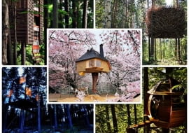 domki na drzewach, projekty