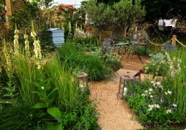 Ogród miłośnika ekologii to miejsce dla ludzi, roślin i pszczół.