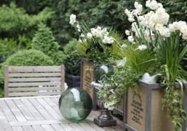 Ogród Pani Danuty Młożniak