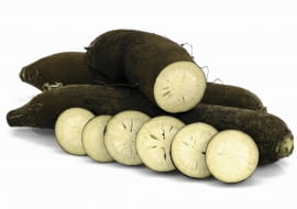 ODMIANA 'GROS LONG D'HIVER DE PARIS'