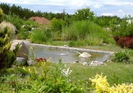 28.06.2005 MAGDALENKA BASEN STAW KAPIELOWY Z NATURALNA OCZYSZCZALNIA SCIEKOW