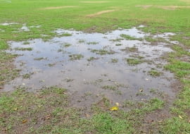 Jak wyrównać trawnik