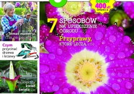 Magazyn Magnolia 2/16