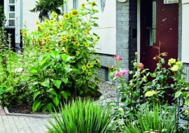 Laureaci Nagrody Prezydenckiej 33. Konkursu Warszawa w Kwiatach i Zieleni, Kategoria Człowiek 1 miejsce: Zygmunt Gasiuk, ul. Pruchnika 8E