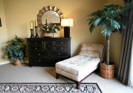 W warunkach naturalnych liście niektórych gatunków mogą osiągać nawet kilkanaście metrów długości.