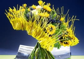 07.11.2008 WARSZAWA SESJA BUKIETY WIAZANKI KOMPOZYCJE ROSLINNE NA ZDJECIU BUKIETY WIAZANKI KOMPOZYCJE ROSLINNE WYKONANE PRZEZ PRZEMYSLAW BIEGAJ STYLIZACJA ------ DLA CZASOPISMA BUKIETY FOTO ARKADIUSZ SCIHCOKI / AGENCJA GAZETA