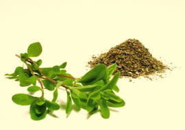 Majeranek na przejedzenie