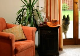 WNETRZA PODLOGA WYKLADZINA DYWANOWA FOT. BRUNO FIDRYCH PUBLIKACJA CZTERY KATY NR 2 (184) - 2 2007 SLOWA KLUCZOWE: WNETRZA BUDOWNICTWO ZDJĘCIE DO WKŁADKI: PUBLIKACJA CZTERY KATY NR 2 (184) - CZASOPISMA