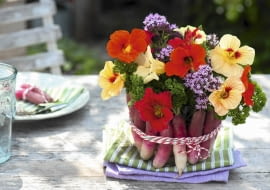 Glasschale als Vase verkleidet mit Radieschen : Strauss aus Tropaeolum ( Kapuzinerkresse ), Oregano ( Origanum ) und Petersilie ( Petroselinum ) in mit Radieschen ( Raphanus ) verkleidetem Glas SLOWA KLUCZOWE: Kr uter Praxis Step essbare Bl´ten Gem´se FERTIGBILD rot ROSA FARBE gelb 000 msgnp13 Sommer draussen quer FLORISTIK