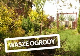 Ogród Pani Agnieszki