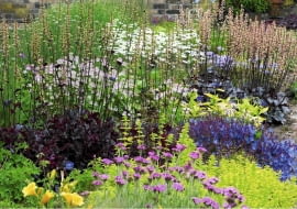 Kolorowa rabata w lekkim cieniu