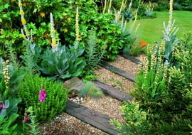 DENMANS GARDEN, SUSSEX: GRAVEL RIVER WITH RAILWAY SLEEPER STEPS PLANTED WITH VERBASCUM OLYMPICUM, SISYRINCHIUM STRIATUM AND FOXGLOVES.DENMANS GARDEN, DESIGNER JOHN BROOKES
