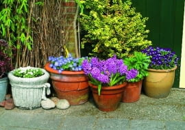 29.04.2003 HOLANDIA WYJAZD BIURO CEBULKOWE HOLANDIA OGROD PRYWATNY MARCEL BORKUS I WIM GEURINK POJEMNIK GLINA BLACHA OCYNKOWANA WIADRO DEKORACJA ROSLINNA ROSLINY SEZONOWE BRATEK GLINA BYLINY FOT PAWEL SLOMCZYNSKI / AGENCJA GAZETA WIOSNA PUBLIKACJA KWIETNIK NR 3 (123) - 3.2005