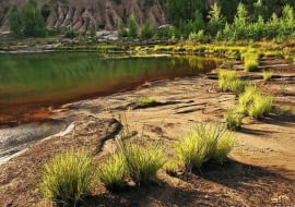 Malownicze jeziorka w parku "Łuk Mużakowa"