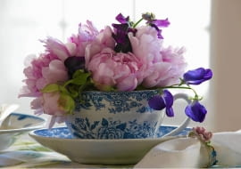 Pfingstrosen und lila Wicken in blauweißer Tasse SLOWA KLUCZOWE: Blume Blumen Blumenstrauß Blumensträuße Dekoration Florales Geschirr Pfingstrose Pfingstrosenstrauß Pfingstrosensträuße Päonie Päonien Sommer Tasse Tassen Wicke Wicken blau-weiss floral rosa sommerlich weiss-blau Niemand *** Local Caption *** 00095256