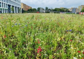 Wrocław West 4 Business Hub