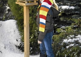 Dbajmy o Ptaki. Po obfitych opadach śniegu wysypujmy im więcej pokarmu.