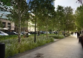 Projekt nowej zieleni na ulicy Świętokrzyskiej w Warszawie - jeden z wariantów projektowych