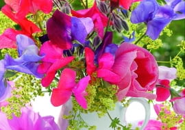FBouquet of Lathyrus odoratus, Alchemilla, Alcea and Borago officinalis