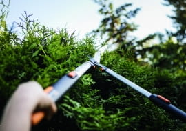 Nożyce do strzyżenia żywopłotu