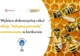 'Adoptuj pszczołę'
