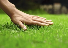 Czy wiesz jak oszczędzać w ogrodzie?