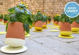 voltasol, ruchoma doniczka, niezły gadżet