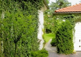 Przejście obok garażu. Wzdłuż ścian budynków posadzono pnącza, aby przy podjeździe dla samochodów było zielono.