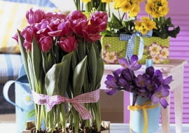 Narzissen, Primeln, Krokus und Tulpen in Kisten und Spankorb SLOWA KLUCZOWE: Balkon Balkons Blume Blumen Blumenkiste Deco Decoration Deko Fr´hjahr Fr´hling Fr´hlingsblume Fr´hlingsblumen Fr´hlingsdekoration fr´hlingshaft Holzkiste Holzkisten Kiste Kisten Krokus Krokusse Narzisse Narzissen Niemand Pflanzen Primel Primeln Spankorb Spank^rbe Topf Topfblume Topfblumen Topfpflanzen Vorfr´hling Hochformat