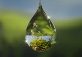 „Zieleń, natura, architektura”