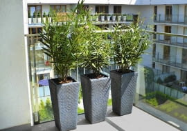 Donice na balkon i taras. Rytmiczna kompozycja z trzech identycznych donic z lekkiego i trwałego technorattanu. Zamieszkały w nich trzy bliźniacze oleandry.