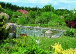 28.06.2005 MAGDALENKA BASEN STAW KAPIELOWY Z NATURALNA OCZYSZCZALNIA SCIEKOW FOT. WOJCIECH SURDZIEL / AGENCJA GAZETA