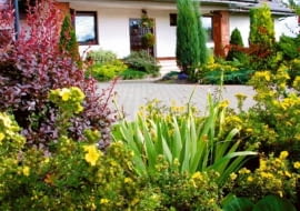 DOM I OGROD PANSTWA RENATY I DARIUSZA SELIGOW FOT. JERZY ROMANOWSKI PUBLIKACJA LADNY DOM NR 6 (68) - 6.2004